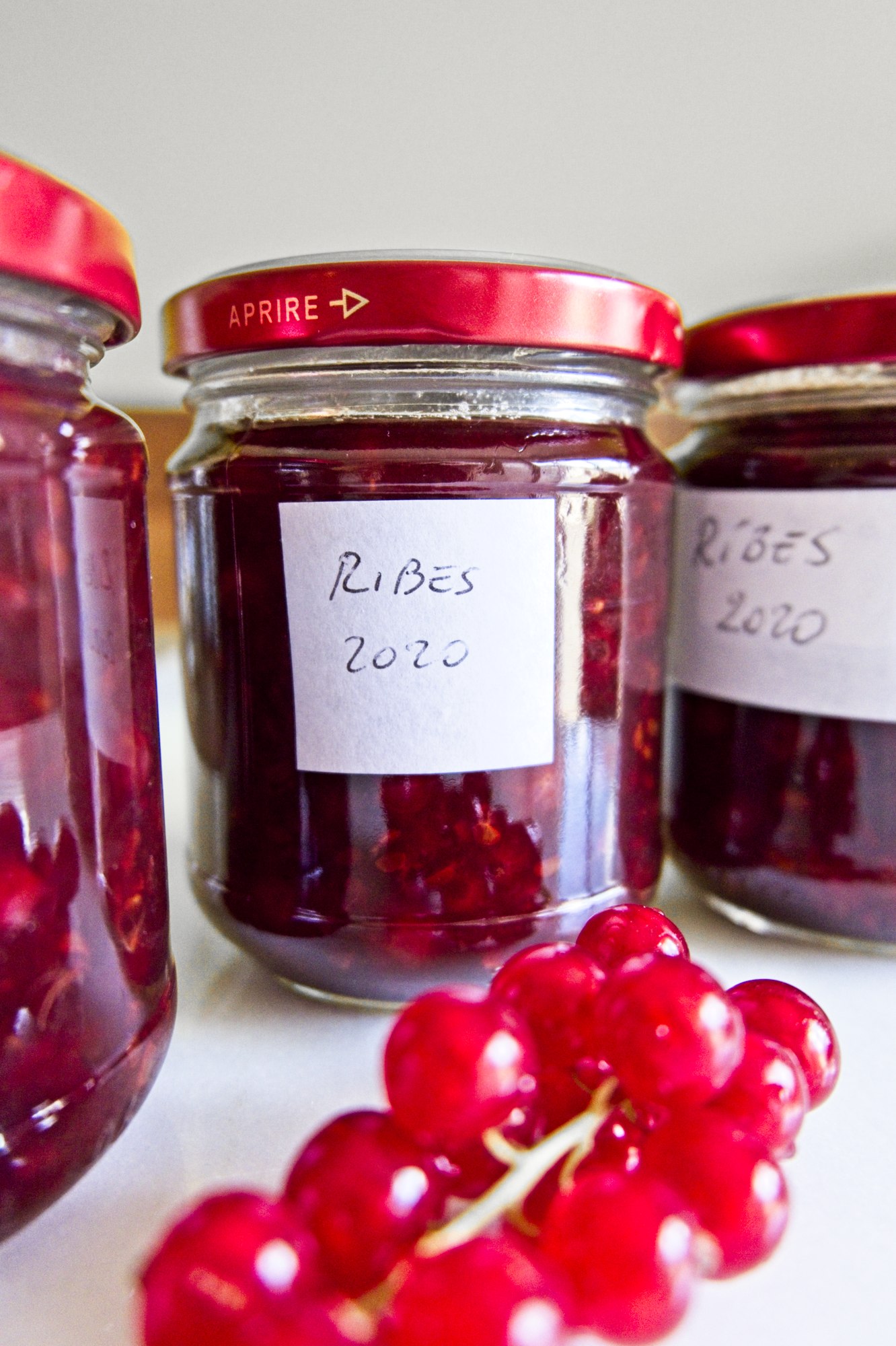 Marmellata di ribes rossi - magnaguat